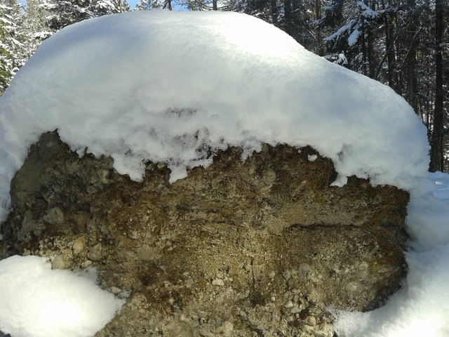 "Da Winter, der is ma net z'wida!"