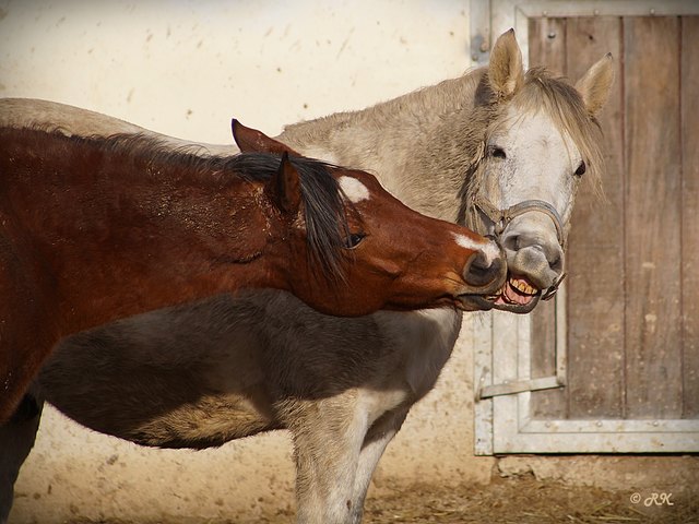 ... du ... i mog di ... ;-)))