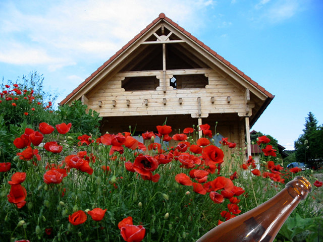Blockhausbau in Endfase