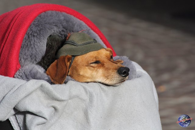 mir ist nicht kalt..!