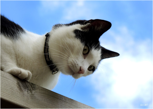 Auch wenn´s keiner glauben will und mit so großen Augen wie unser kleiner Pauli schaut, wir schreiben heute den 6 Jänner, Sonne und strahlend blauer Himmel und das Thermometer auf der Terrasse zeigt +11.8 Grad. 
 So könnte es von mir aus schon bleiben.   FOTO: Güni ART