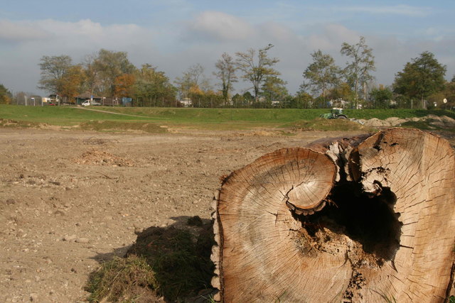 Wo jetzt nur braches Land ist, soll bald Obst und Gemüse angepflanzt werden. | Foto: Zeiler