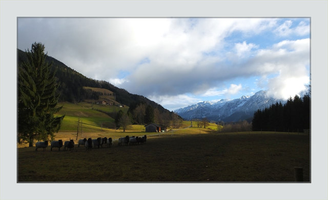 Blick auf das Tennengebirge - in Voregg