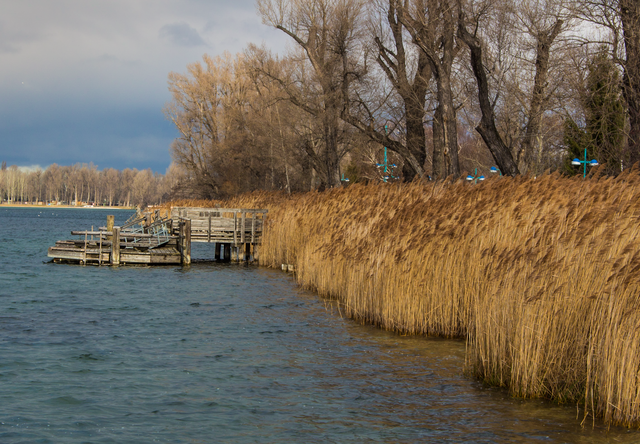 Windiger, aber sonniger Vormittag an der alten Donau