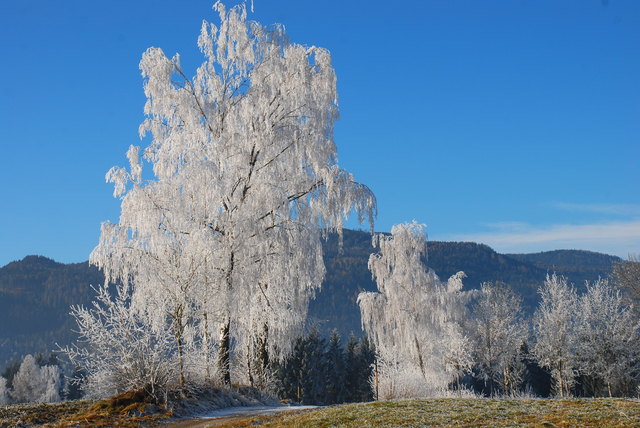 Winterlandschaft Flatschach,von M.Maurer