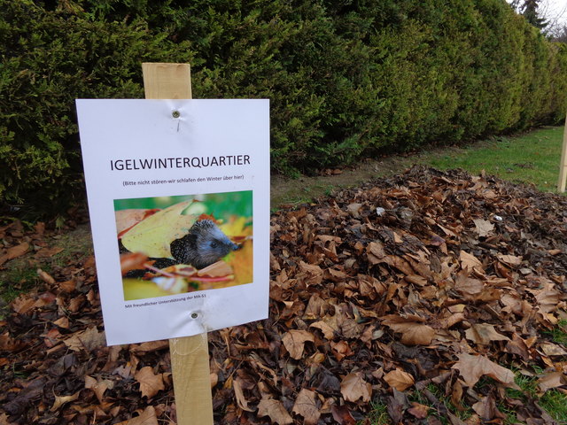 Tierfreundlich: Eine Pension für Igel gibts am Anemonenweg.
