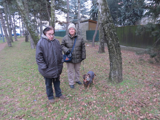 Nachbarin Monika Omonata und Tierbesitzerin Margit Gieszer mit Dachsbracke Dina genießen den Spaziergang nach den Vorfällen wieder.