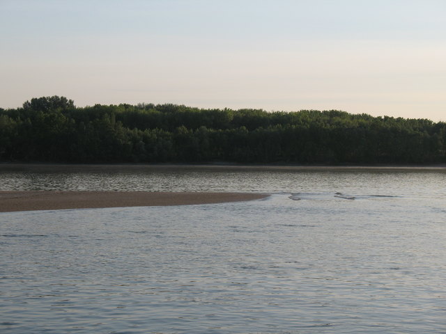 Sandbänke durch das Niedrigwasser freigelegt