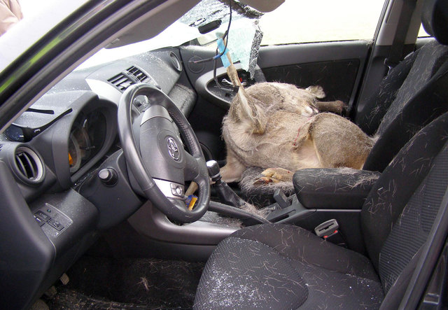 Foto: Polizei