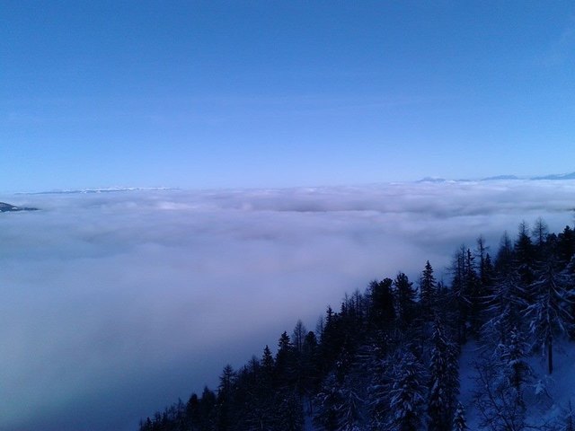 Aufstieg durch den Hochwald