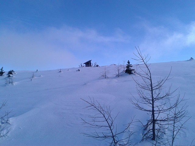 Haidnerhöhe knapp oberhalb der Baumgrenze