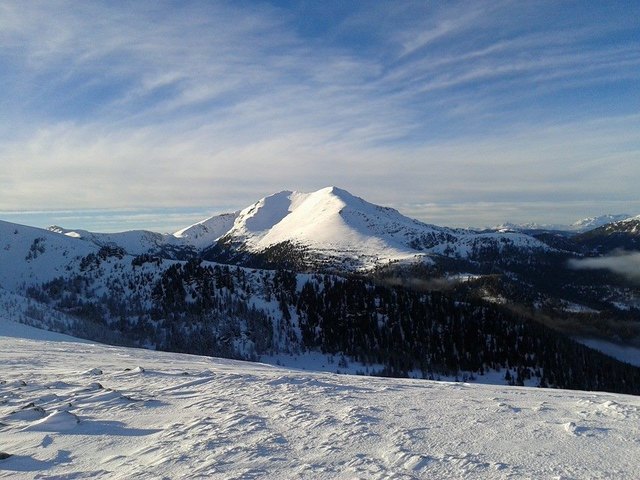 Wintertaler und Straßburger Spitze