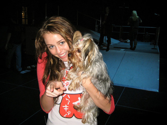 Miley Cyrus | Foto: Mike Schmid/flickr/CC BY-SA 2.0(1)