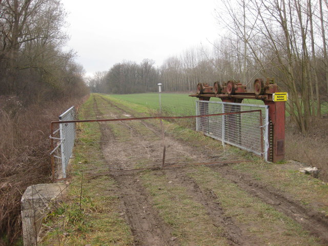 Seit über 30 Jahren joggen hier täglich viele Sportler aus Ansfelden.