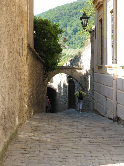 Gasse zur Donau