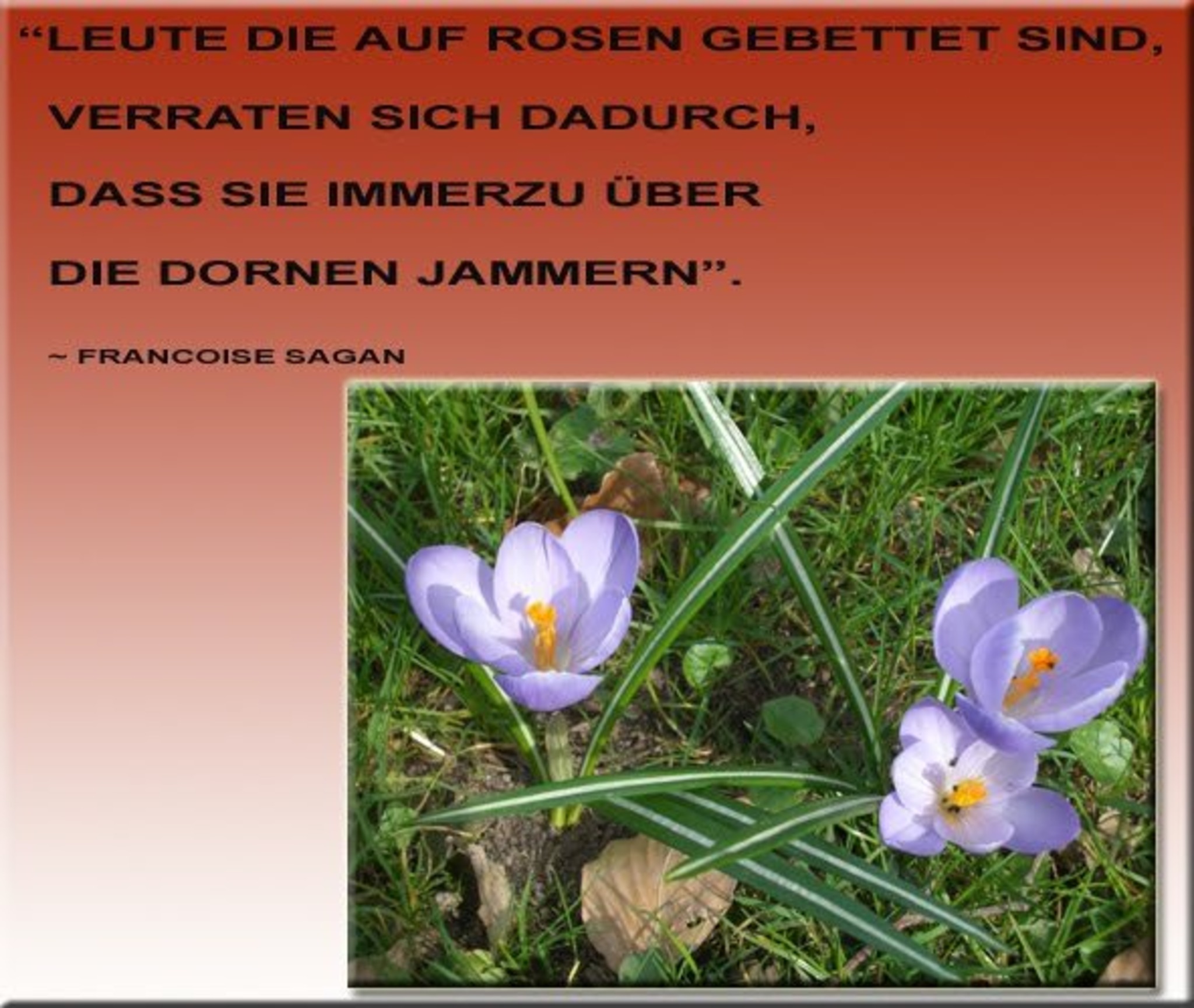Hilft das Jammern und Klagen weiter? - Jennersdorf