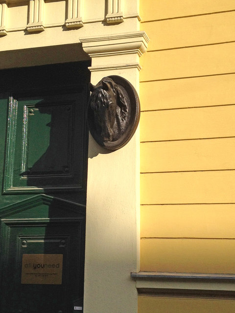 Dieser Pferdekopf ziert ein wunderschönes, altes Haus in der Schickgasse.