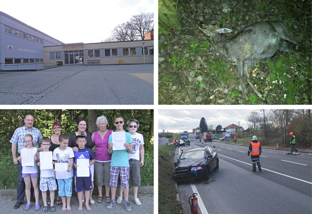 Vieles wurde aufgedeckt – von "Schimmelschule" über Bürgerprotest bis hin zum Wilderer. | Foto: Fotos: Archiv
