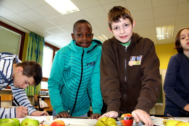 An der Apfelstation: Samuel und Stefan beim Apfelzerteilen. Dann wird das Geschmacksergebnis und die Sorte notiert.