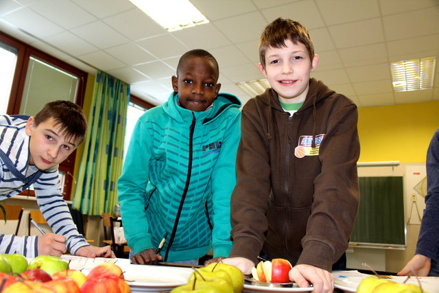 An der Apfelstation: Ishak, Samuel und Stefan (v.li.n.re.) beim Apfelzerteilen. Dann wird das Geschmacksergebnis und die Sorte notiert.
