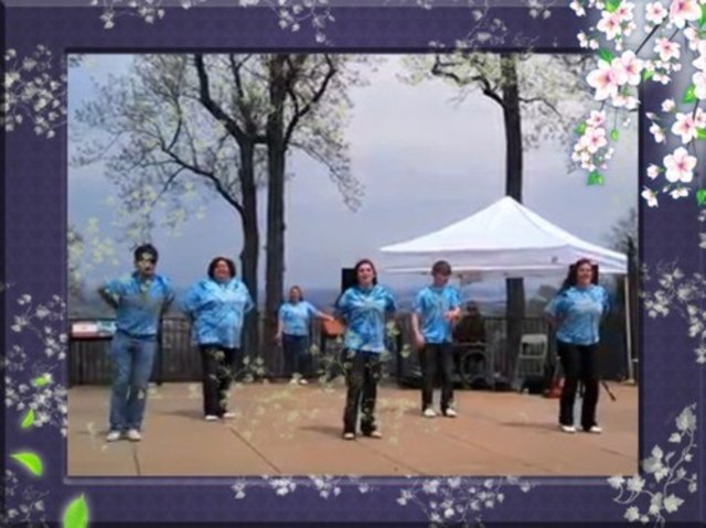 Die 'Clog Wild Cloggers' aus Pinson, Alabama, USA