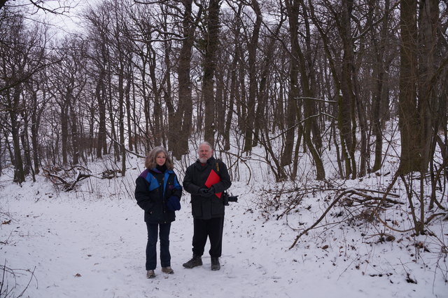 Eine Biosphärenpark-Kernzone oder ein Naturwaldreservat schlägt Biologe Dieter Armerding für das schöne, alte Waldgebiet vor.