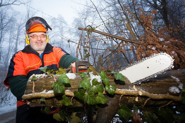 Urgestein: Seit der Gründung im Jahre 1983 arbeitet der gelernte Tischler Josef Tscheppe bereits beim Grazer Forsttrupp.
Fotos: 
geopho.com | Foto: geopho.com