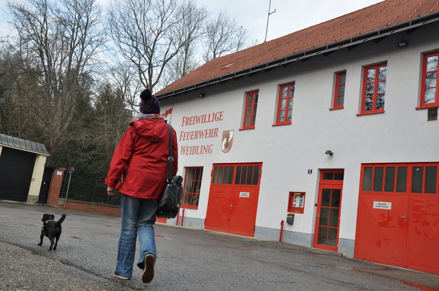 Partnersuche bezirk weidling, Single studenten in poysdorf. Mnner kennenlernen rstorf. Frankenmarkt kostenlose singlebrsen. Dating portal aus sankt Partnersuche bezirk weidling: Hadersdorf-kammern reiche mnner