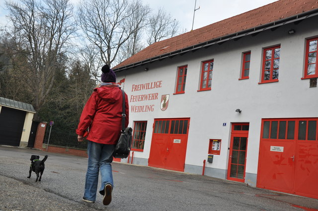 "Das Projekt ist nicht ganz so leicht, das wird länger dauern", so Stadtrat Roland Honeder.