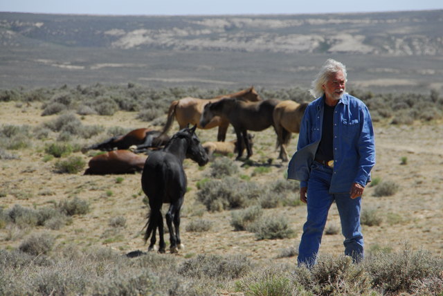 Erich Pröll mit seinen Mustangs | Foto: foto erich pröll