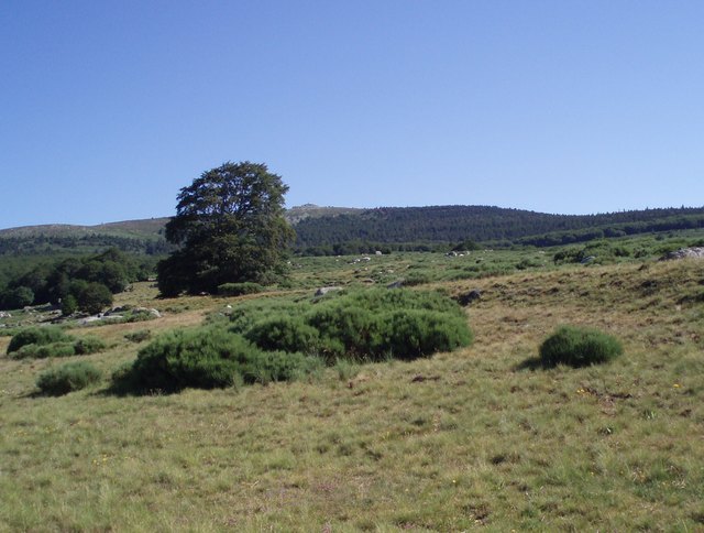 Cevennen