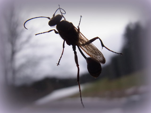 Nach den ganzen Feiertagen könnte man echt neidisch werden...