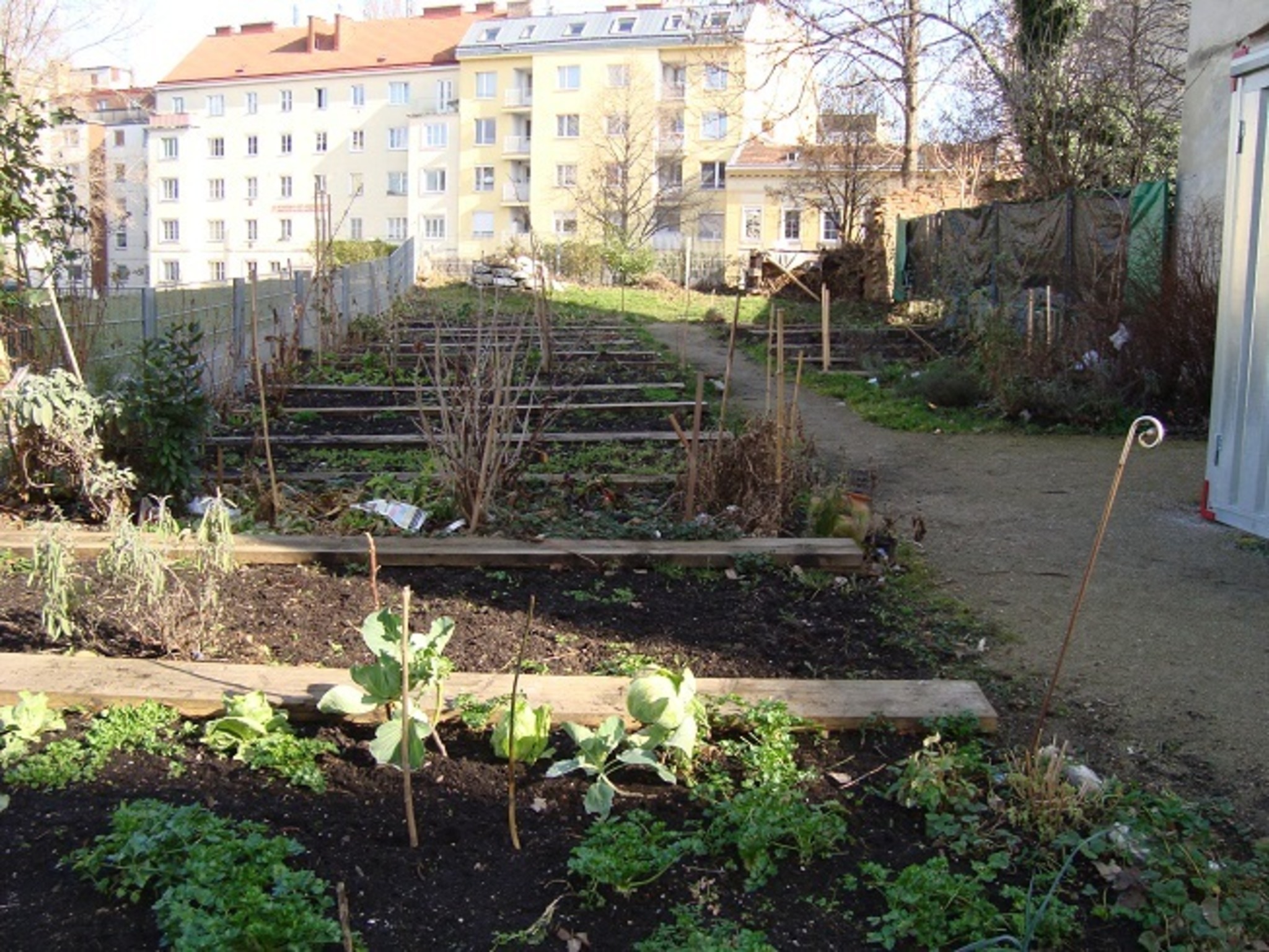 Wir sind im Garten! Gemeinsam gärtnern im Steinhagegarten WienMeidling