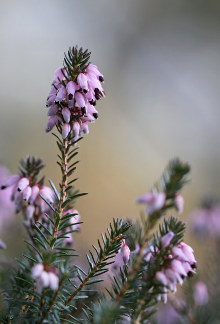 Aufnahmedatum: 20.02.2014