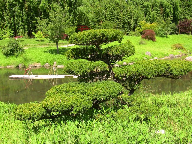 japanischer Garten
