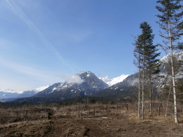 Hochmahd Kopf