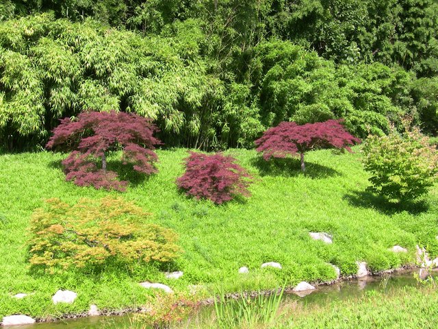 Themengarten Japan