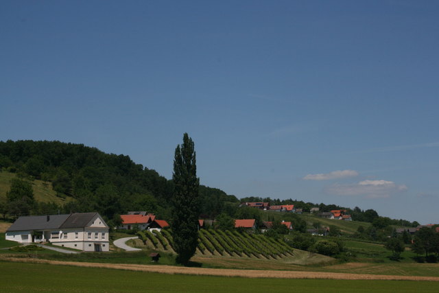 Die beiden südlichsten Bezirke mussten erneut Bevölkerungsverluste hinnehmen.