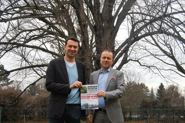 13. Bezirk: Bürgerinitiative Elisabethalllee hofft wieder: Alter Baum verzögert Bauprojekt: http://www.meinbezirk.at/wien-13-hietzing/chronik/elisabethallee-bau-gebremst-wegen-baum-d850148.html | Foto: Melcher