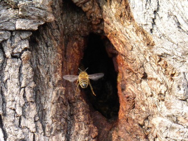 wartet noch ich will zuerst rein ..