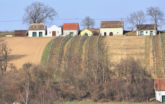 Kellergasse in Niederschleinz / Weinviertel