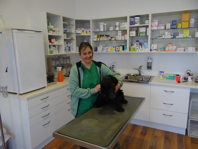 Henriette Lehmann kümmert sich engagiert um die Gesundheit ihrer tierischen Patienten.