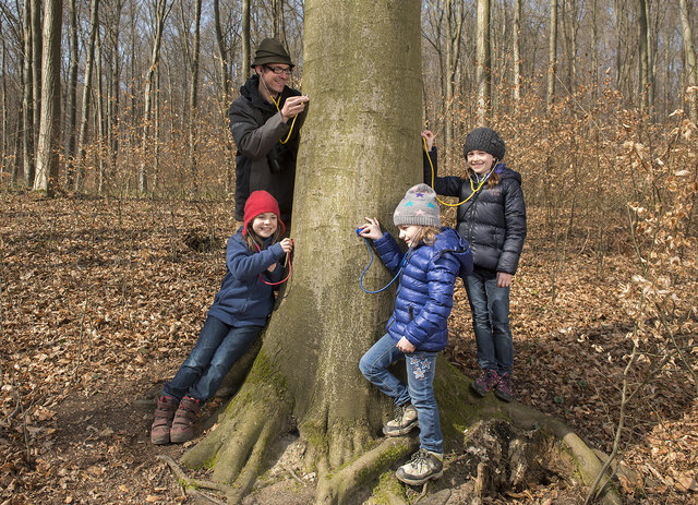 ÖBf-Naturführer Clemens Endlicher und Marvie, Lena und Teresa (v.li.) lauschen dem Saft-Rauschen der Rotbuche 'Primavera' | Foto: ÖBf-Archiv/Wolfgang Voglhuber