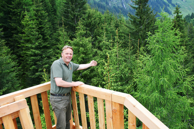 Vom Bauwerk aus reinem Holz hat man den perfekten Blick auf die Glemmtaler Wälder - wo es den Naturbaustoff quasi in "Rohform" gibt.