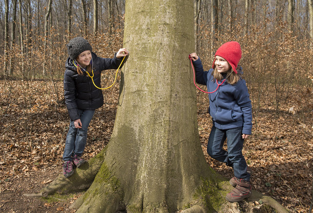 Teresa (li.) und Marvie (8 Jahre) lauschen dem Saft-Rauschen unter der Rinde der Rotbuche 'Primavera'. | Foto: Wolfgang Voglhuber