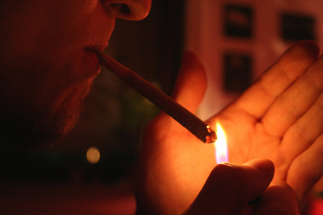 Der Angeklagte wollte das Cannabiskraut für den Eigenkonsum und Weiterverkauf verwenden | Foto: bilderbox