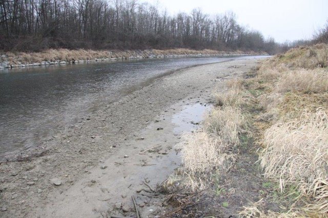 Schlamm- und Sedimentablagerungen | Foto: Raab