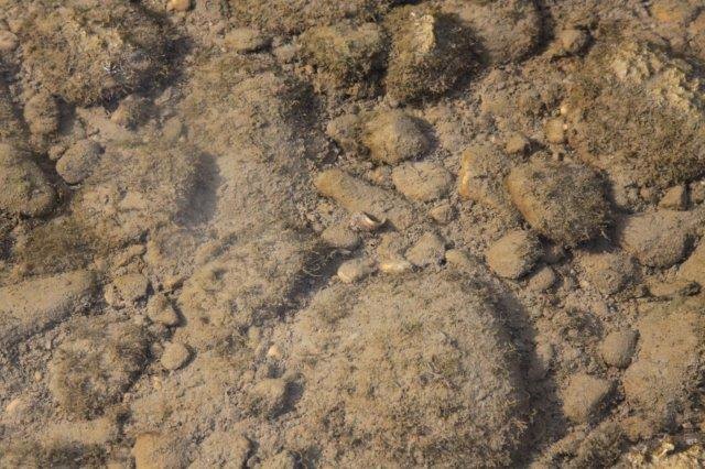 Sediment im flachen Wasser | Foto: Raab