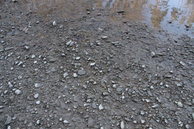Schlamm- und Sedimentablagerungen | Foto: Raab