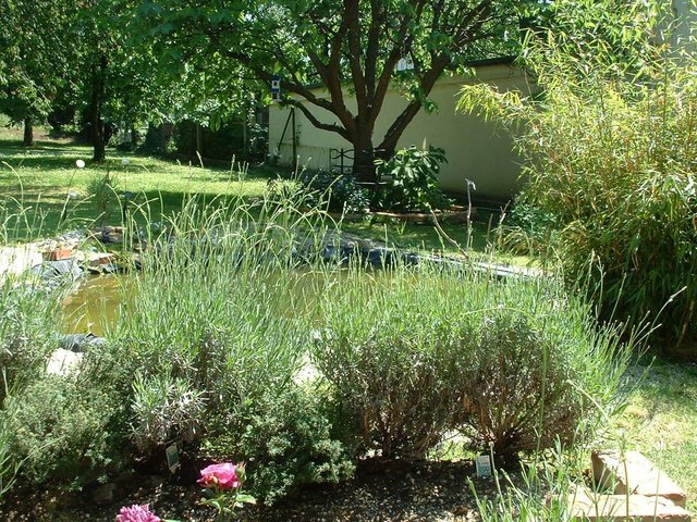 Jardin de SALON 1886